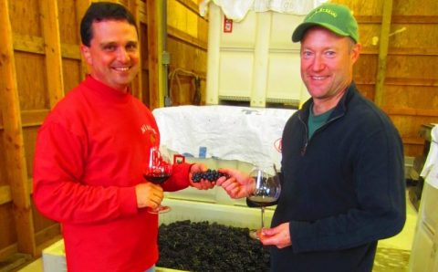 For Earth Day Bells Up Winery, Tonnelier Vineyard featured in Corporate Sustainability Blog