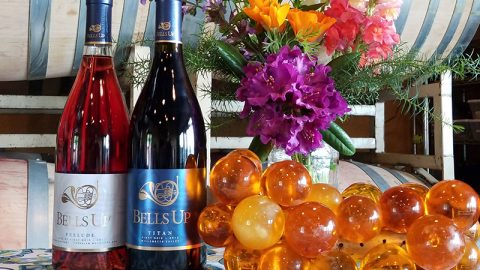 Washington Wine Blog Gives Two New Bells Up Releases High Marks