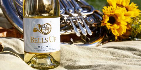 2018 Helios Seyval Blanc Reviewed by Washington Wine Blog