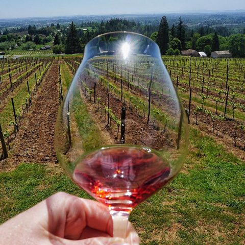 Sips N Tips Calls 2018 Prelude Estate Rosé “Perfectly Balanced for Meal Pairings”