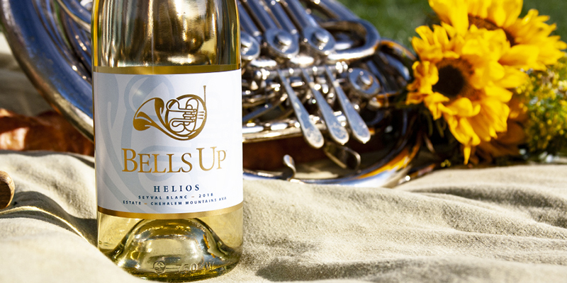 Photo of a bottle of white wine in front of a French Horn and Sunflowers