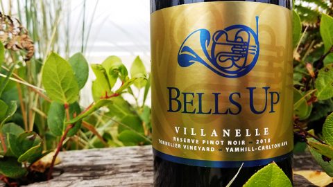 2018 Villanelle Tonnelier Vineyard Reserve Pinot Noir Awarded 90 Points from Wine Enthusiast