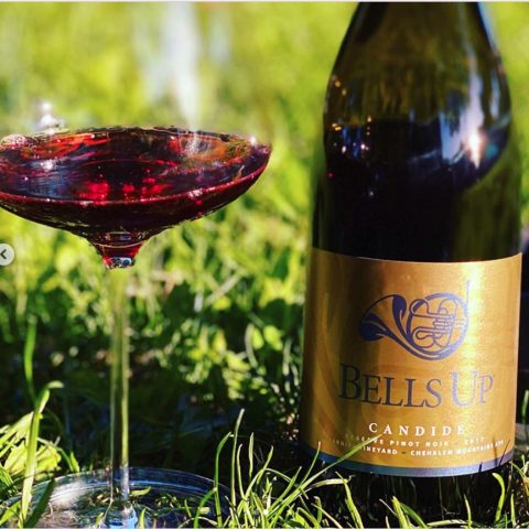 The Wine Siren Kelly Mitchell Praises 2017 Candide as a “Distinctly Beautiful Pinot Noir”