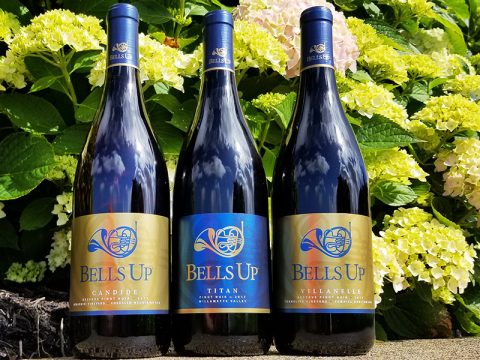 Bells Up’s 2017 Pinot Noirs Reviewed by Fine Wine Writer L.M. Archer: “Mama like. A lot.”