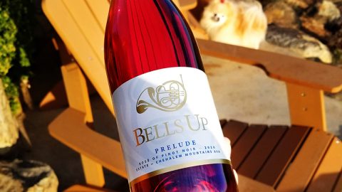2020 Prelude Estate Is A “Gorgeously Rosy Rosé,” Says Great Northwest Wine