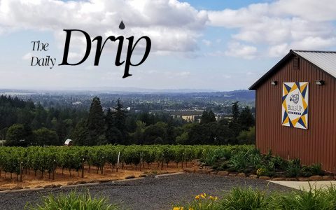 The Daily Drip Lauds Bells Up As “The Perfect Introduction To Willamette Valley”