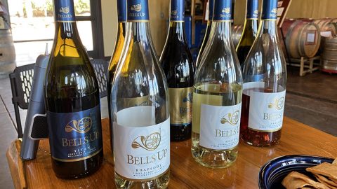 Talk-A-Vino’s “Passion and Pinot” Series Posts Update After Visit to Bells Up