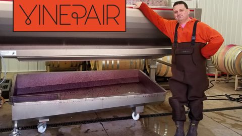 VinePair Features Winemaker Dave’s Harvest “Must Have”