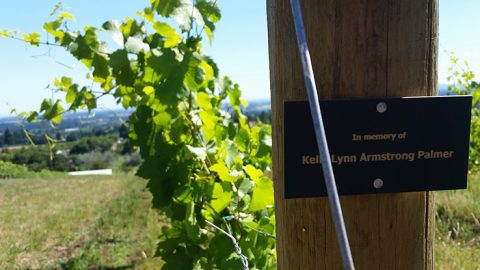 Row 1, Block 1 of the Bells Up estate vineyard: Honoring the woman who inspired us to turn the winery dream into reality.