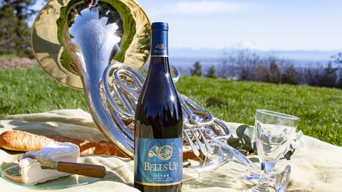 Wine Reviewer Ellen Landis Says Bells Up’s Wines Are “Striking and Dramatic”