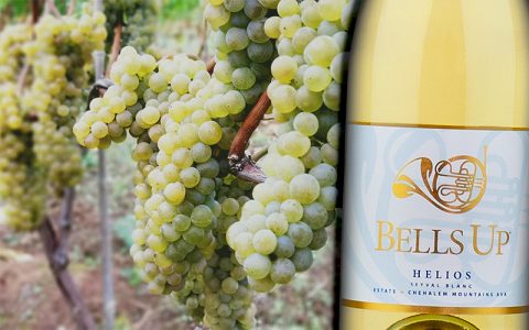 Napa Valley Register Highlights Bells Up’ Helios Seyval Blanc as a “Weird Wine”