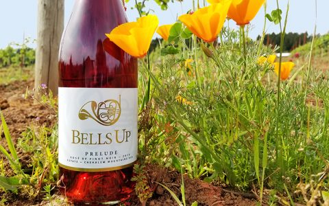 Washington Wine Blog Names 2019 Prelude A Top Oregon Wine in 2020 Rosé Report