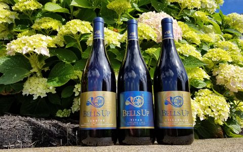 2017 Bells Up Pinots Have “Excellent Finesse and Elegance,” Says Washington Wine Blog