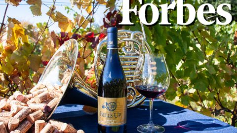 Forbes Rates 2017 Candide Among “Best Pinot Noirs Willamette Valley Has To Offer”