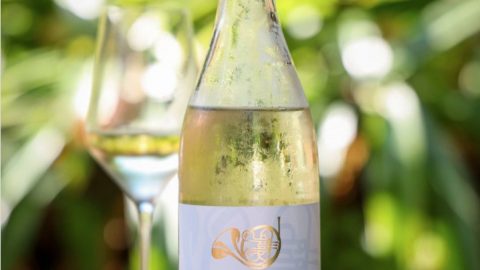 2019 Rhapsody Reviewed by Winery Reflections: “Bright, Racy and Refreshing”