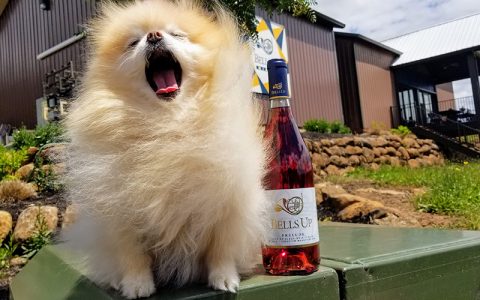 Cupcake Isn’t The Only One Barking For Our Brosé: Owen Bargreen Includes 2020 Prelude In Top PNW Rosés Report