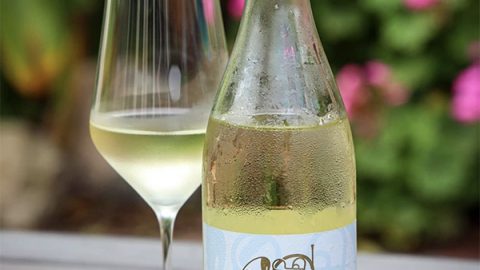 2020 Rhapsody Pinot Blanc has “Excellent Depth of Flavor Alongside Intense Energy,” says Winery Reflections