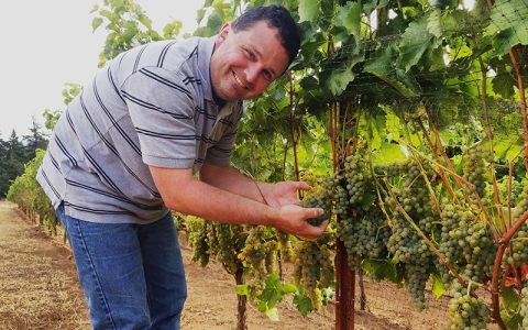 Bells Up’s Seyval Blanc Part Of “The Future Of Winemaking”