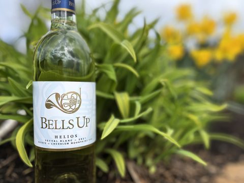 Kathleen Willcox Reviews Bells Up’s Helios Seyval Blanc