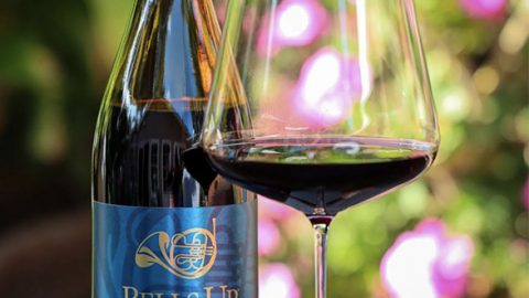 2019 Firebird Syrah is “Terrifically Complex and Engaging” says Winery Reflections