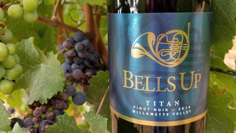 Great Northwest Wine Deems 2019 Titan Pinot Noir “Excellent!”