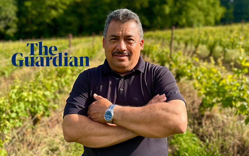 MoisesSotelo-800x500-Guardian