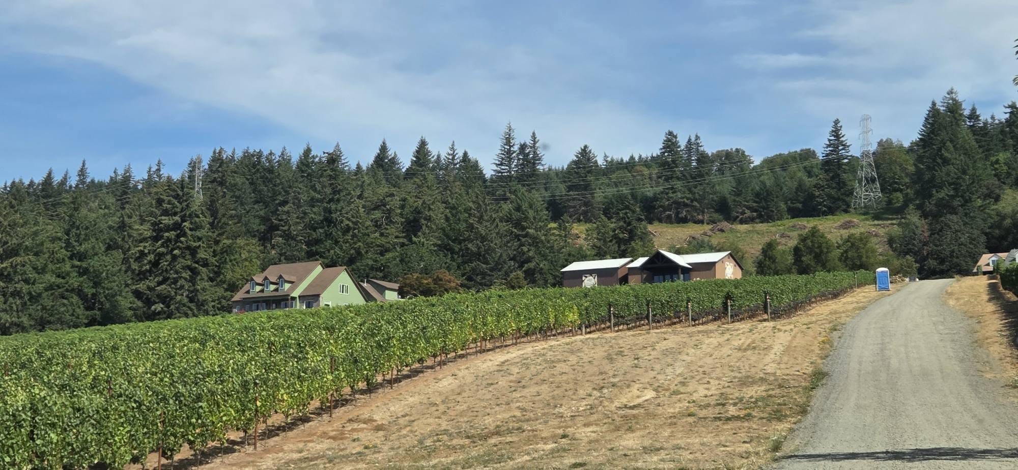 The gravel drive winding up past the vineyard to the winery
